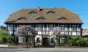 Goldberghaus Mauve Grossschönau